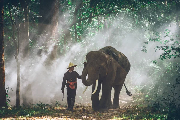 Mann und sein Elefant in Nordthailand — Stockfoto