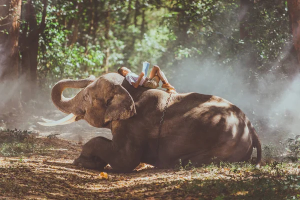 Homme et enfants vont dans la jungle avec l'éléphant, la vie — Photo