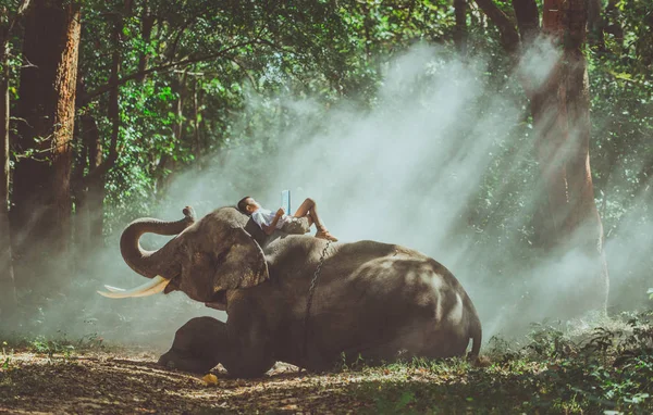 Шкільний хлопчик вчиться в джунглях зі своїм другом слоном — стокове фото