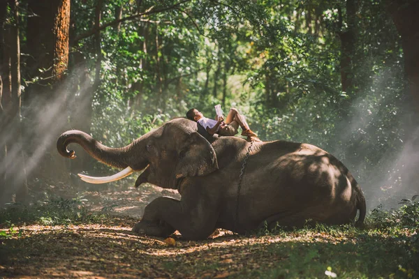 Écolier étudiant dans la jungle avec son ami éléphant — Photo