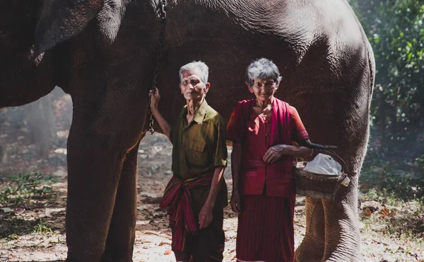 Vecchia coppia che cammina con il loro elefante nella giungla, in Thail — Foto Stock