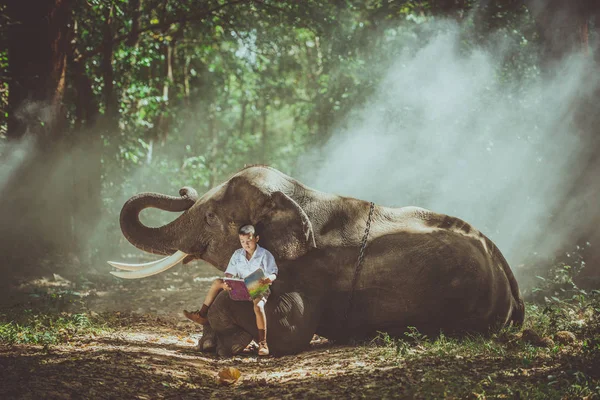 与他的朋友大象在丛林中学习的小学生 — 图库照片