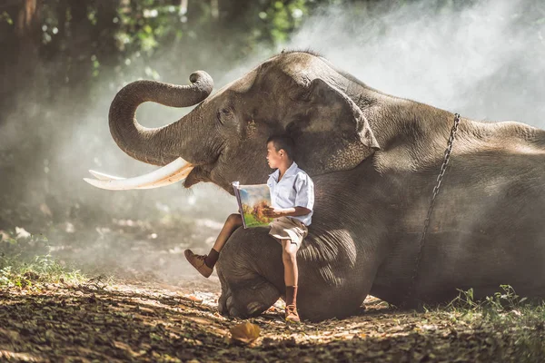 Menino da escola estudando na selva com seu amigo elefante — Fotografia de Stock