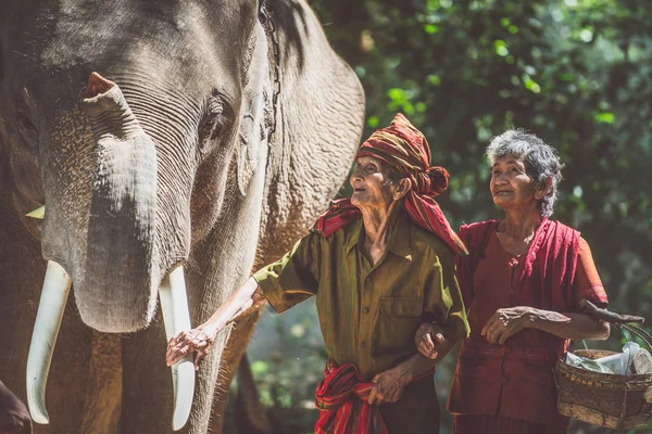 Vecchia coppia che cammina con il loro elefante nella giungla, in Thail — Foto Stock