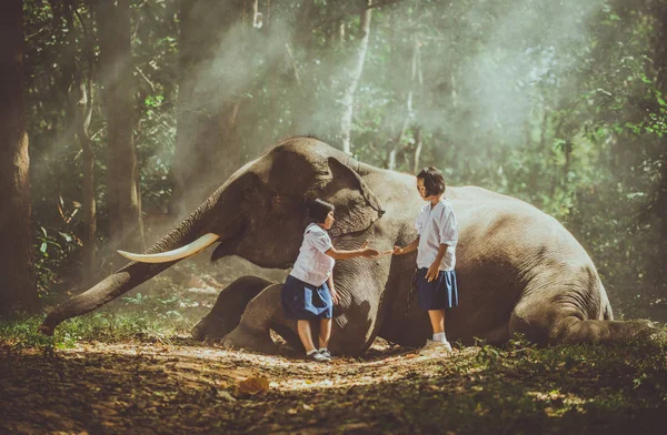 Thai filles jouer après l'école dans la jungle près de leur elepha — Photo