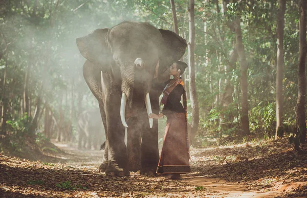 Hermosa mujer tailandesa pasando tiempo con el elefante en la jung —  Fotos de Stock