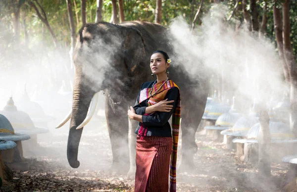 Tay Genç kadın ormanda fil ile — Stok fotoğraf
