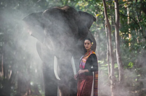 Güzel Tay kadın harcama zaman ile bu fil içinde bu Jung — Stok fotoğraf