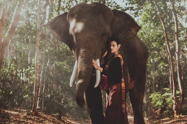 美丽的泰国女人花时间与大象在jung — 图库照片