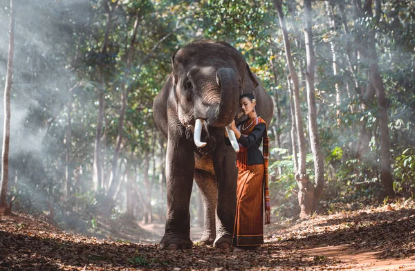 美丽的泰国女人花时间与大象在jung — 图库照片
