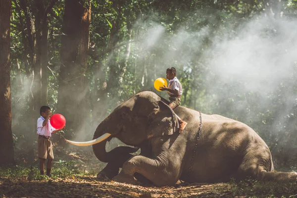 Schuljunge spielt im Dschungel mit seinem Freund Elefant — Stockfoto