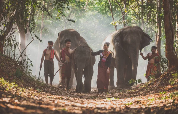 Мужчина и дети идут в джунгли со слоном, живость — стоковое фото