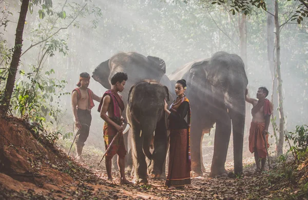 Grupp av thailändska herdar i djungeln med elefanter. Historiska — Stockfoto