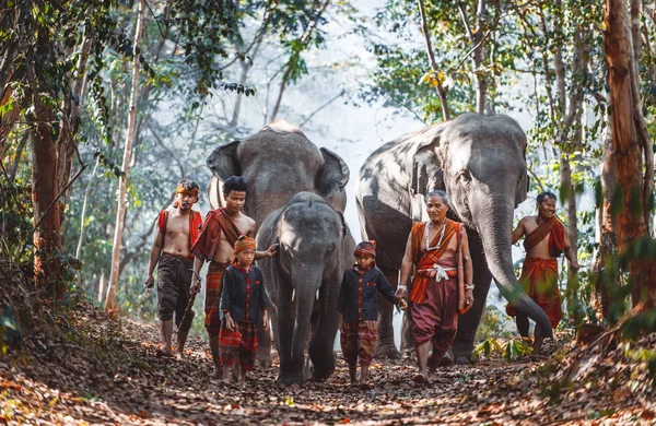 El hombre y los niños van en la selva con el elefante, la vitalidad — Foto de Stock