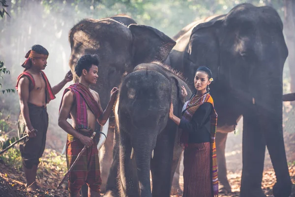 Gruppo di pastori thai nella giungla con elefanti. Storico — Foto Stock