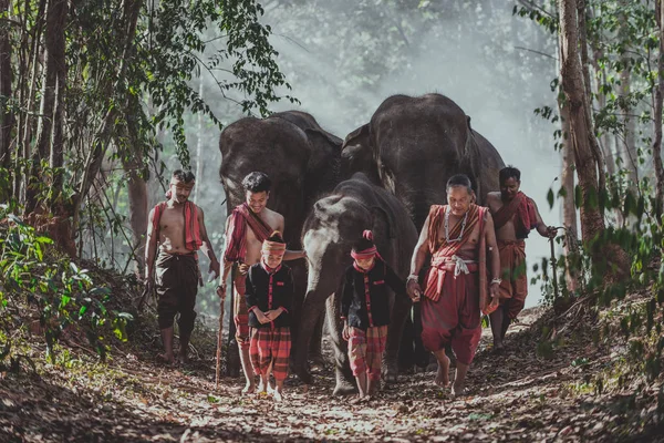 Мужчина и дети идут в джунгли со слоном, живость — стоковое фото