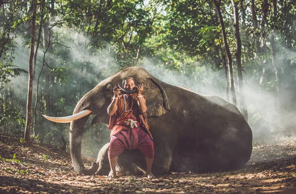 Pastores tailandeses en la selva con elefantes. Estilo de vida histórico — Foto de Stock