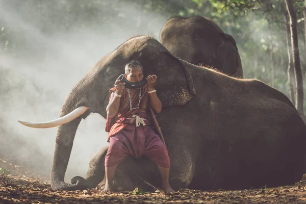 Чоловік і діти, що йдуть у джунглях зі слоном, стиль життя — стокове фото