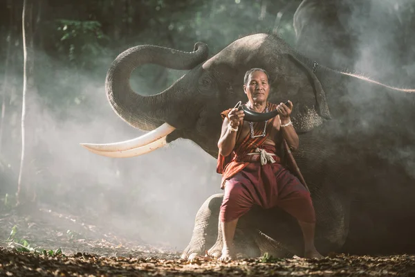 Pastores tailandeses en la selva con elefantes. Estilo de vida histórico — Foto de Stock