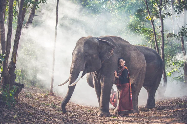 Красива тайська жінка проводить час зі слоном у джунглях — стокове фото