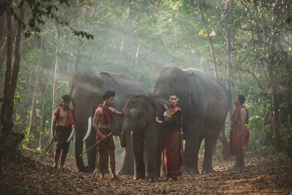 Grupo de pastores tailandeses na selva com elefantes. Histórico — Fotografia de Stock