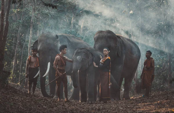 Gruppo di pastori thai nella giungla con elefanti. Storico — Foto Stock