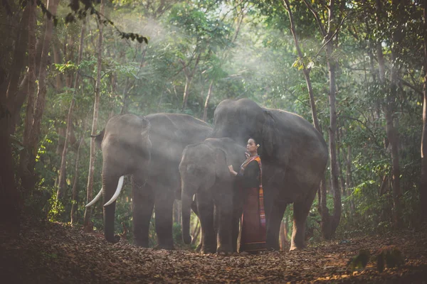 Güzel Tay kadın harcama zaman ile bu fil içinde bu Jung — Stok fotoğraf