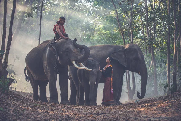 Thailändische Hirten im Dschungel mit Elefanten. historischer Lebensstil — Stockfoto