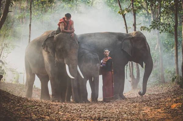 Pastores tailandeses en la selva con elefantes. Estilo de vida histórico —  Fotos de Stock
