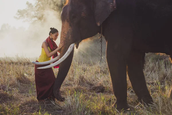 Bella donna tailandese trascorrere del tempo con l'elefante nel jung — Foto Stock