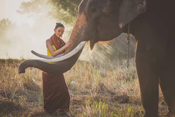 Тайская женщина проводит время со слоном в лесу — стоковое фото