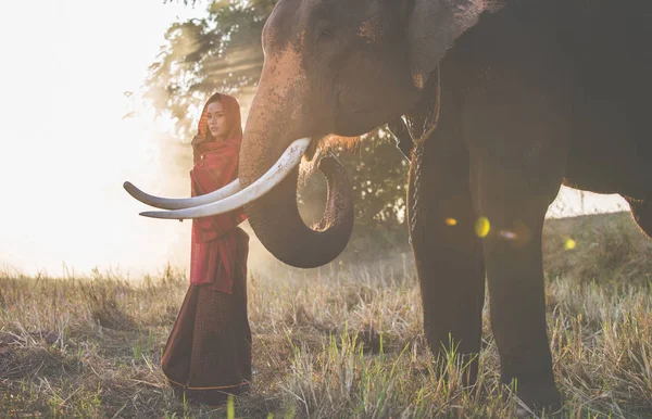 Schöne thailändische Frau verbringt Zeit mit dem Elefanten in der Jungen — Stockfoto