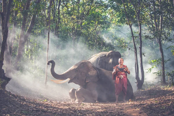 Pastores tailandeses en la selva con elefantes. Estilo de vida histórico — Foto de Stock