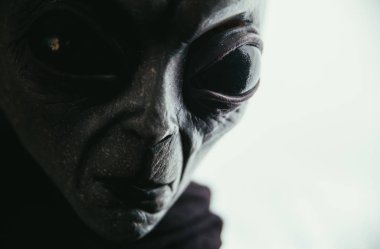 Uzaylı yaratığın insanlara bir mesajı var. Gri tür insansı gelen