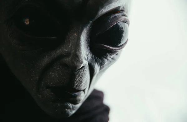 Alien creature has a message for humans. Grey kind humanoid from — Stock Photo, Image