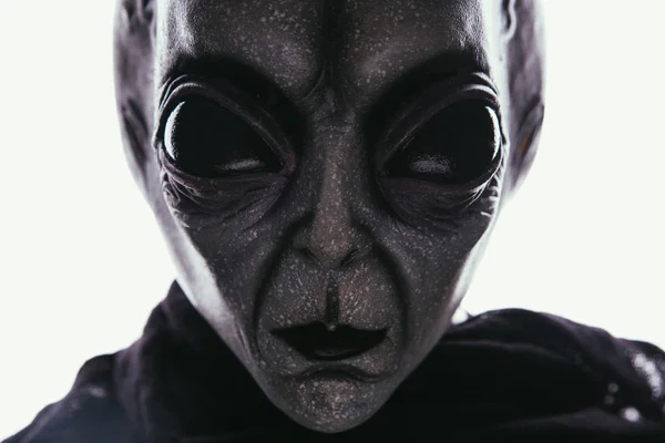 Alien creature has a message for humans. Grey kind humanoid from — Stock Photo, Image