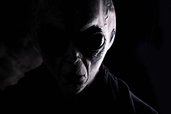 Alien creature has a message for humans. Grey kind humanoid from — Stock Photo, Image