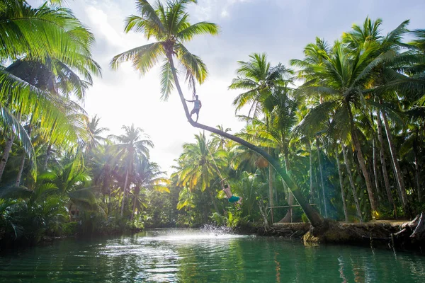 Palma inclinada no rio Maasin, Siargao — Fotografia de Stock