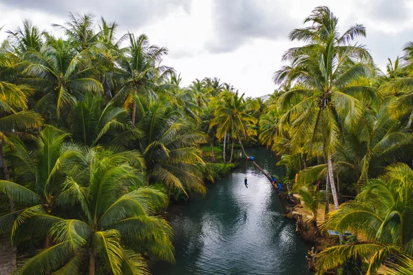 Спираючись Palm на Мадо річки, Сіаргао — стокове фото