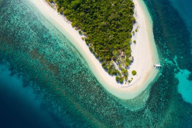 Tropical Beach-Coron, Filipinler