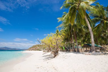 Tropical Beach-Coron, Filipinler