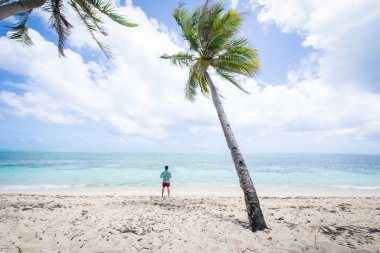 Filipinler 'de tropikal bir plajda turist