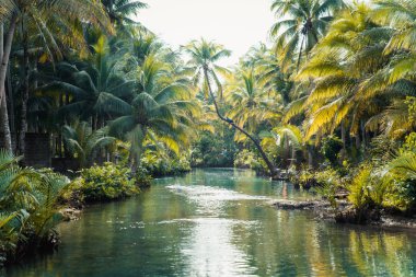 Maasin nehrinde palto, Siargao