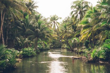 Maasin nehrinde palto, Siargao