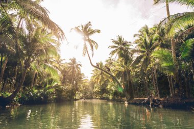Maasin nehrinde palto, Siargao
