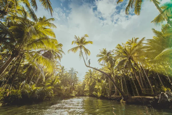 Leunend Palm bij Maasin River, Siargao — Stockfoto