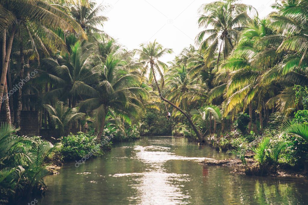 Leaning palm at Maasin river, Siargao