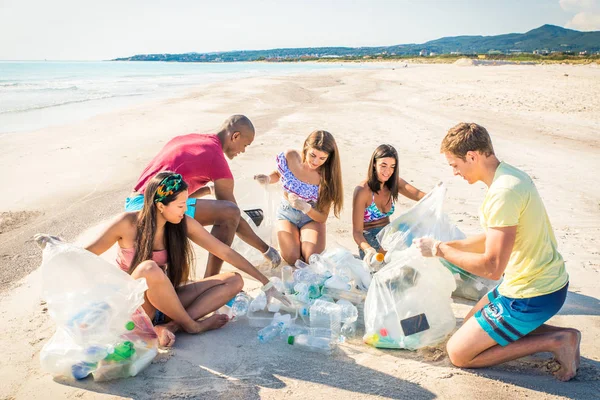 Добровольцы собирают пластик на пляже — стоковое фото