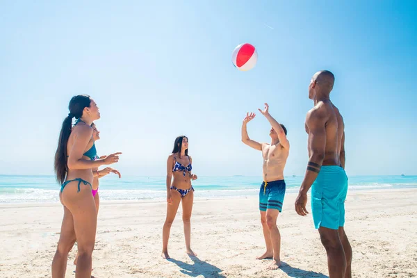 Vänner att ha kul på stranden — Stockfoto