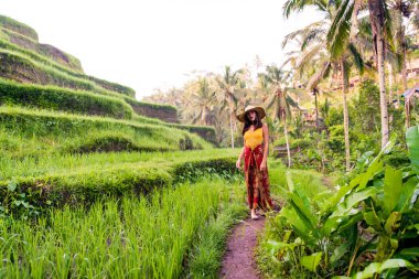 Bali 'de Tegalalang pirinç terasında kadın
